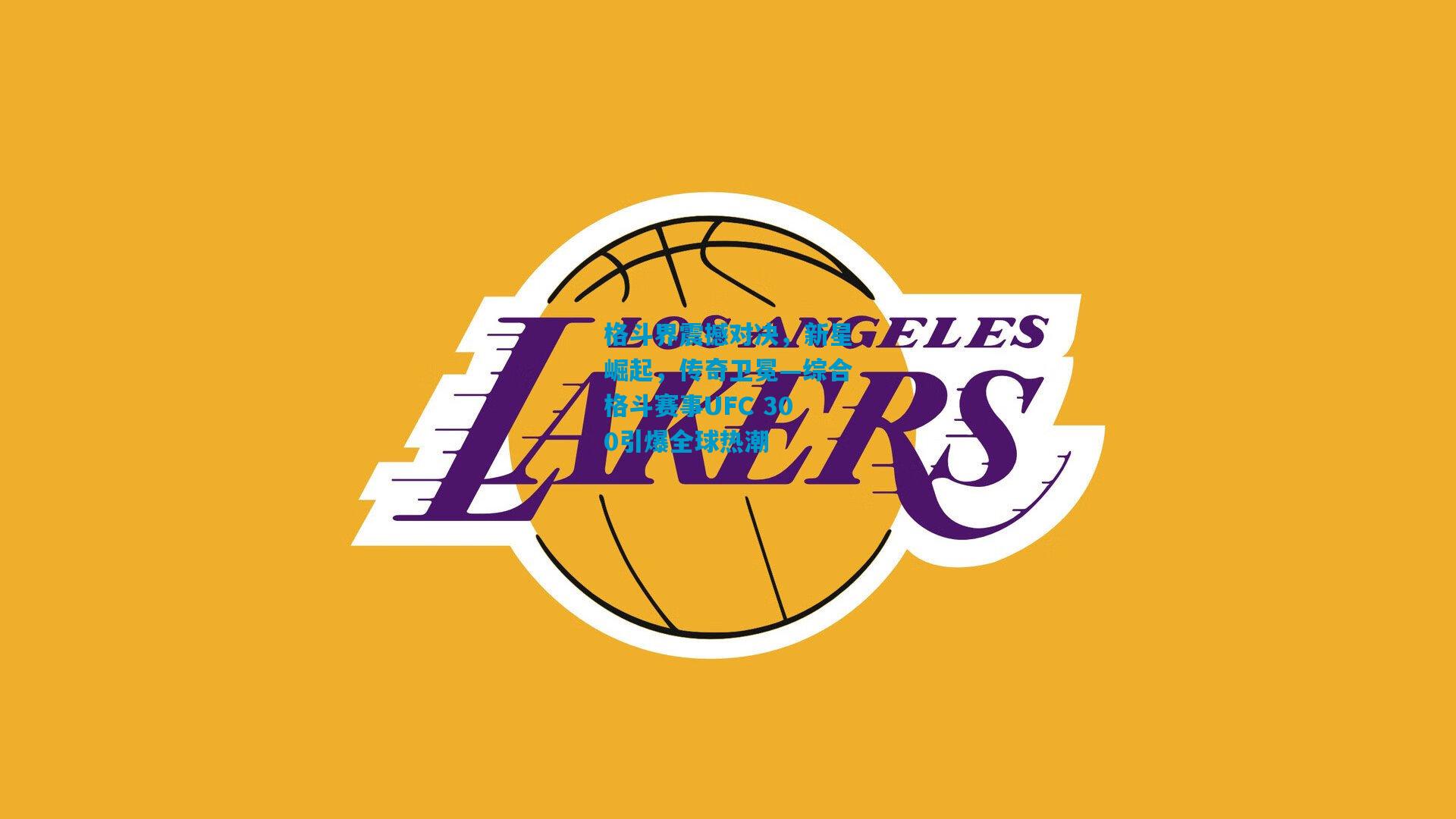 格斗界震撼对决，新星崛起，传奇卫冕—综合格斗赛事UFC 300引爆全球热潮